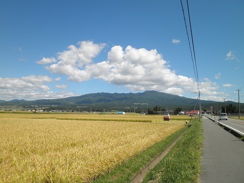 470924P9241827.jpg